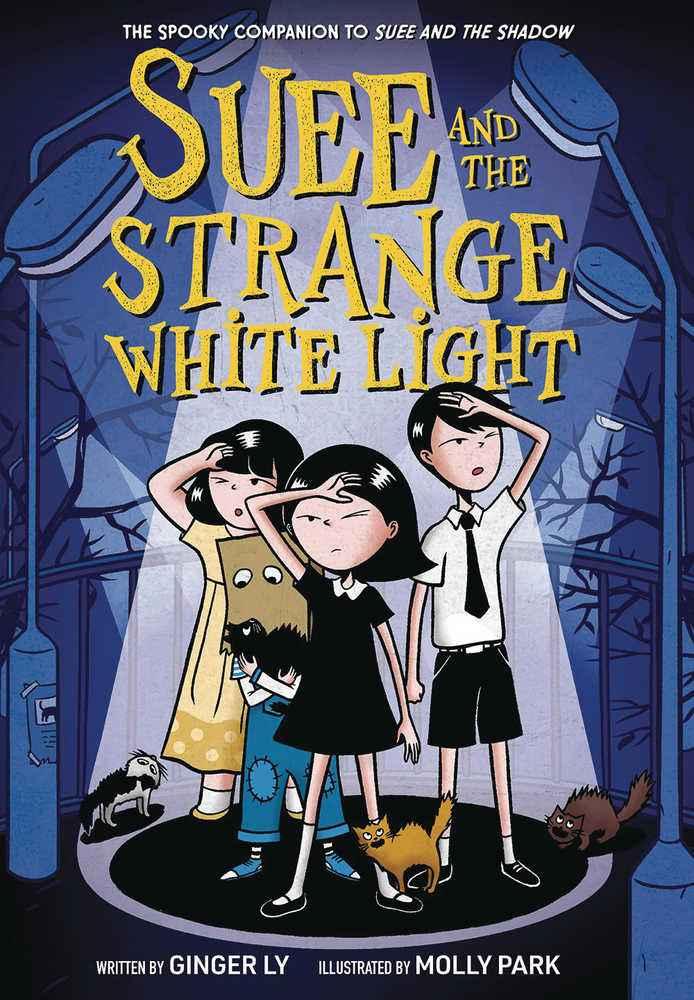 Suee And The Strange White Light Graphic Novel
