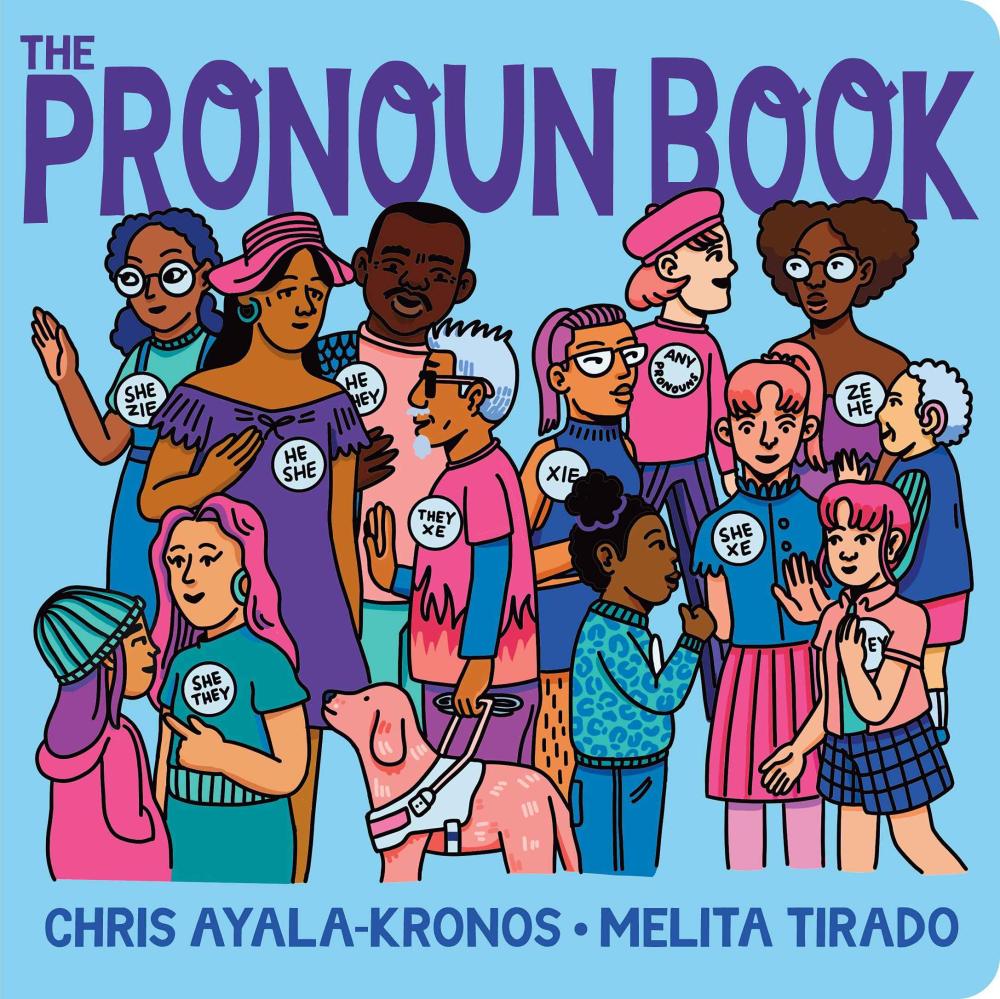 The Pronoun Book Board Book