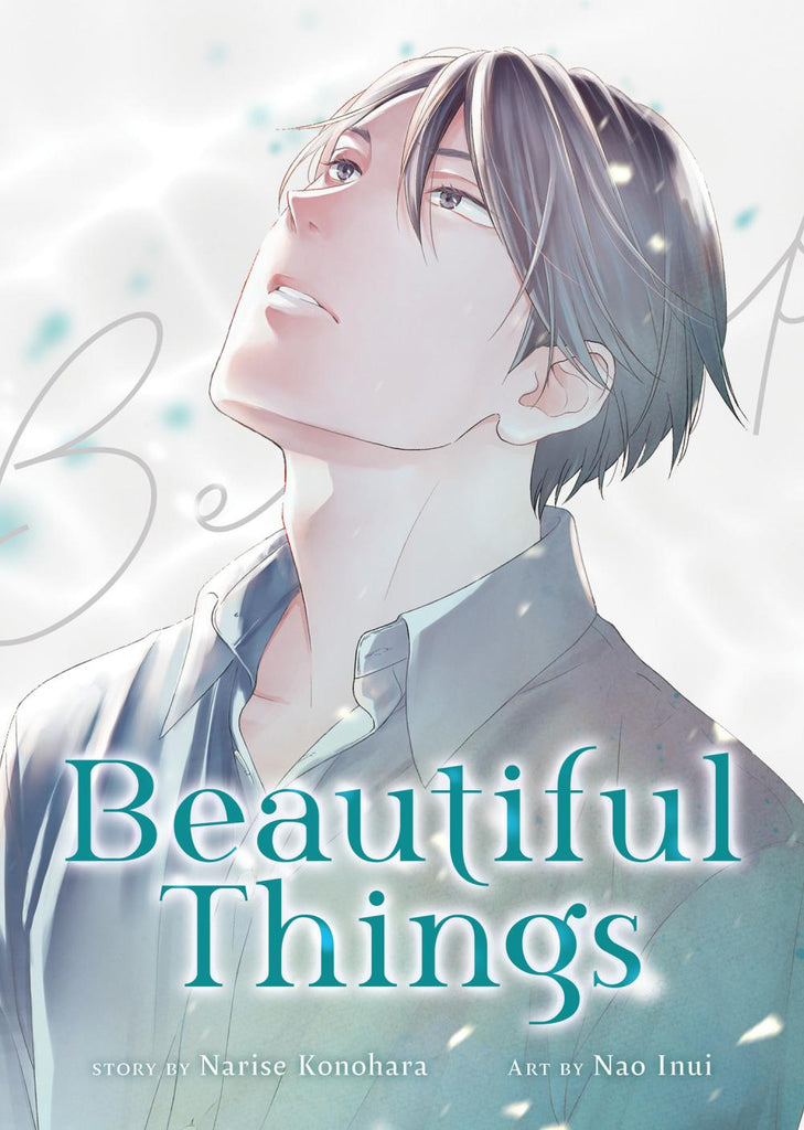 BEAUTIFUL THINGS THE COMPLETE MANGA COLLECTION TP