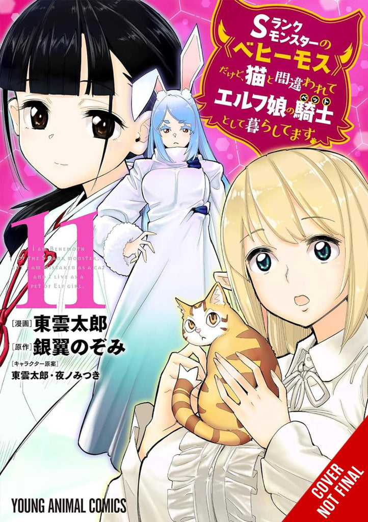 BEHEMOTH S RANKED MONSTER CAT ELF GIRL PET GN VOL 11 C