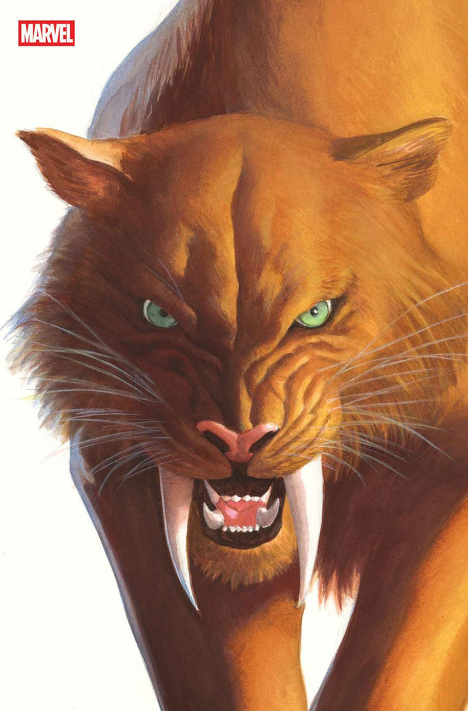 BLACK CAT #2 ALEX ROSS TIMELESS VIRGIN VAR CVR B