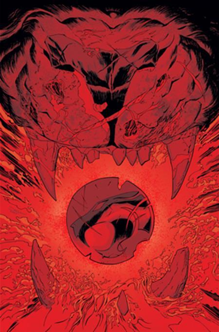 THUNDERCATS LOST #8 CVR J INC 1:15 DECLAN SHALVEY VIRGIN VAR CVR 1:15 INCV
