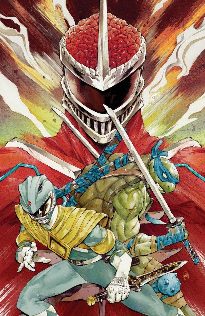 MIGHTY MORPHIN POWER RANGERS TEENAGE MUTANT NINJA TURTLES III #4 F 1:25 INCV FULL ART HILL CVR F 1:25 INCV 1:25 INCV