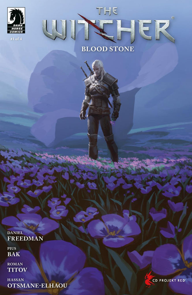 THE WITCHER BLOOD STONE #1 CVR C AXEL SAUERWALD