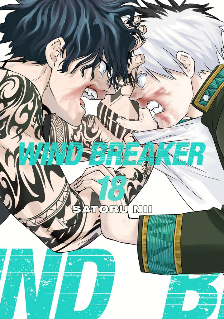 WIND BREAKER TP VOL 18